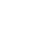 FMI Logo